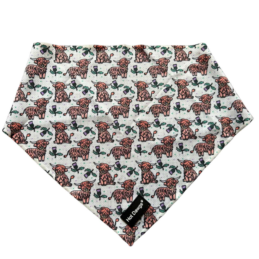 Highland Coo Bandana