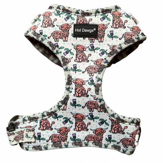 Highland Coo Harness