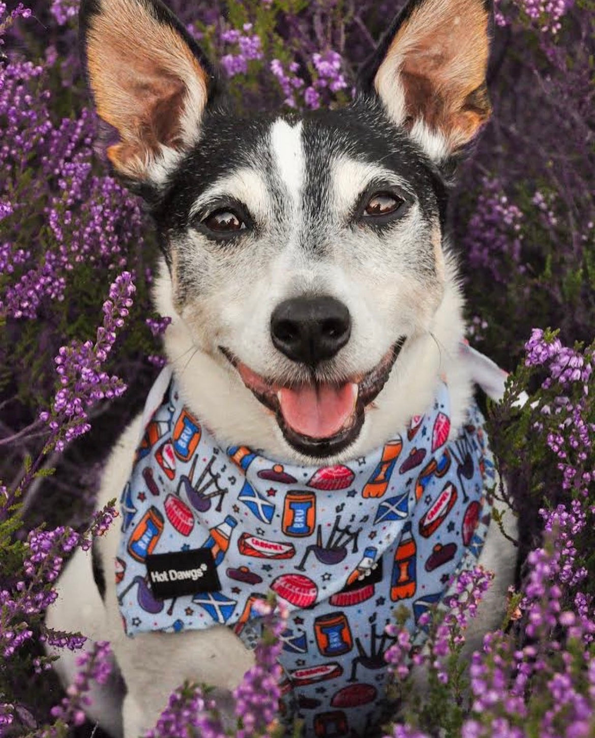 All About Scotland Bandana