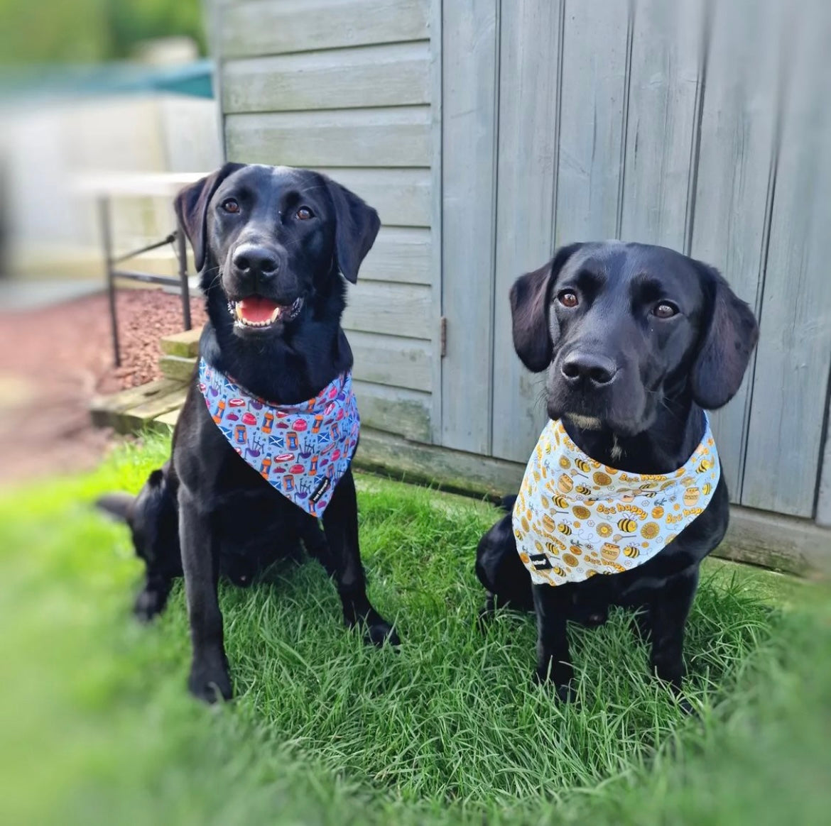 Bee Happy Bandana